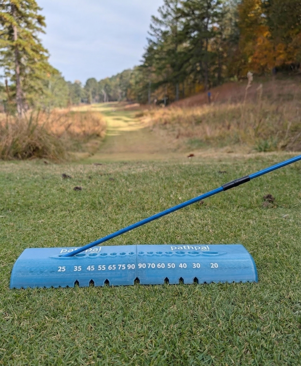 Pathpal Golf Swing Training System